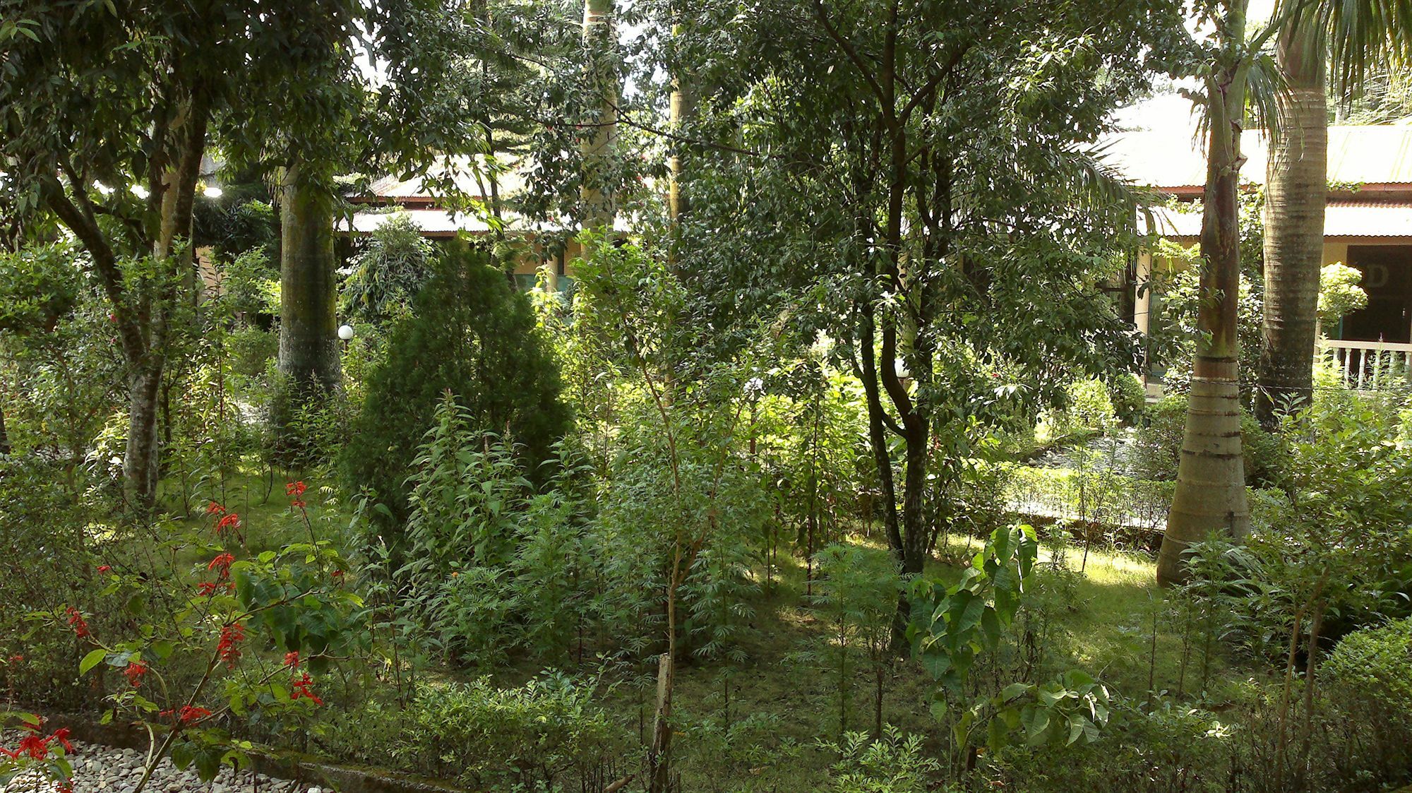 Ama Garden Sauraha Hotel Eksteriør billede