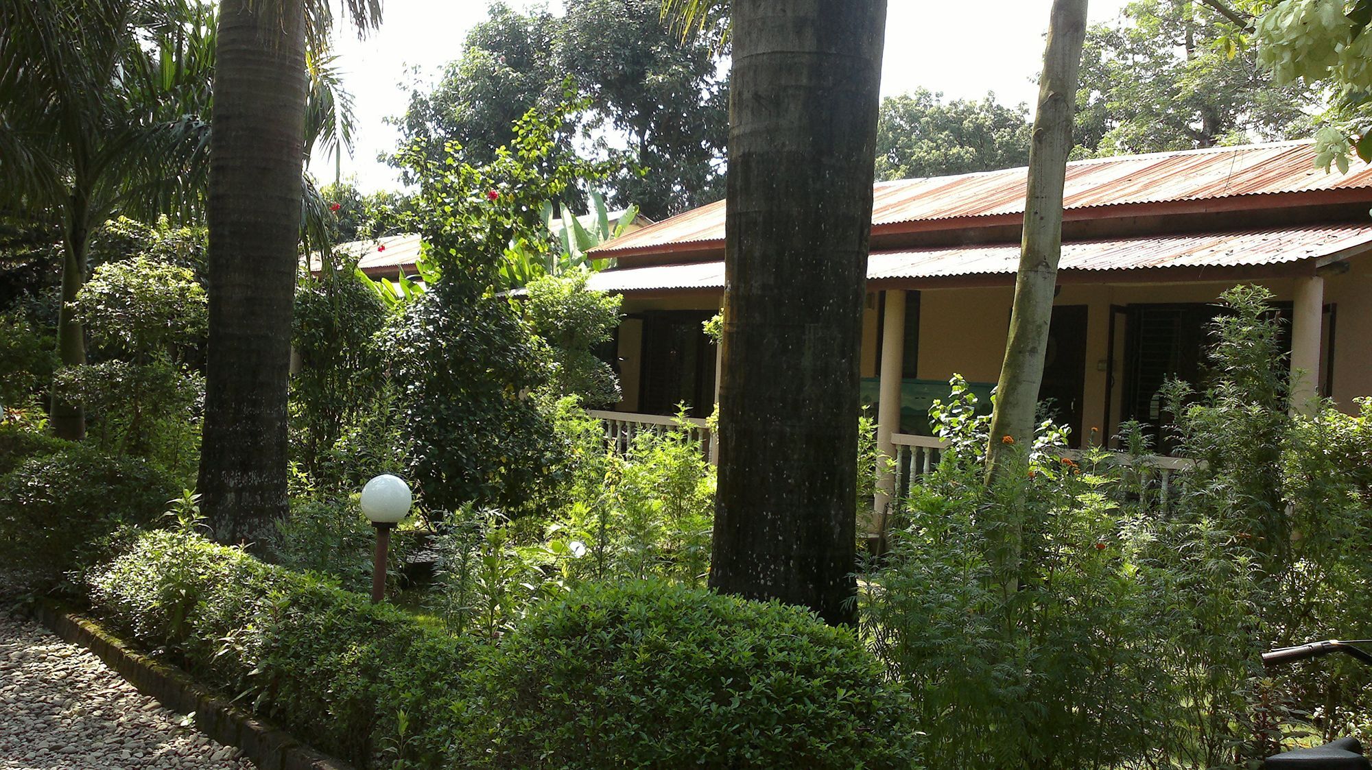 Ama Garden Sauraha Hotel Eksteriør billede