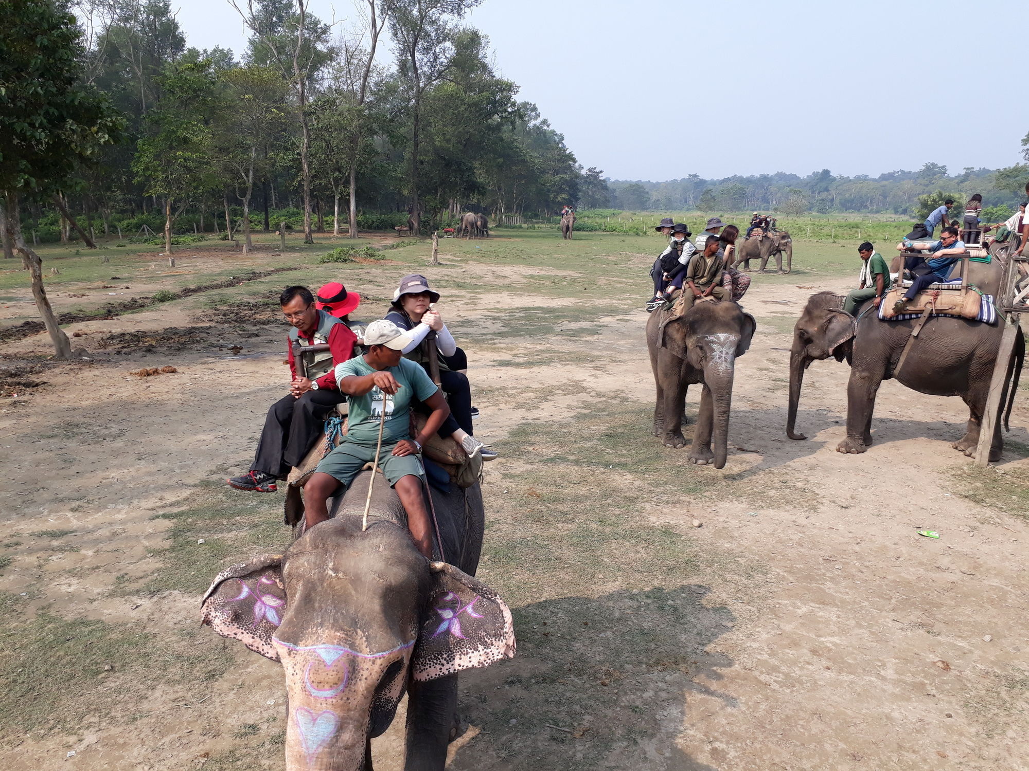 Ama Garden Sauraha Hotel Eksteriør billede