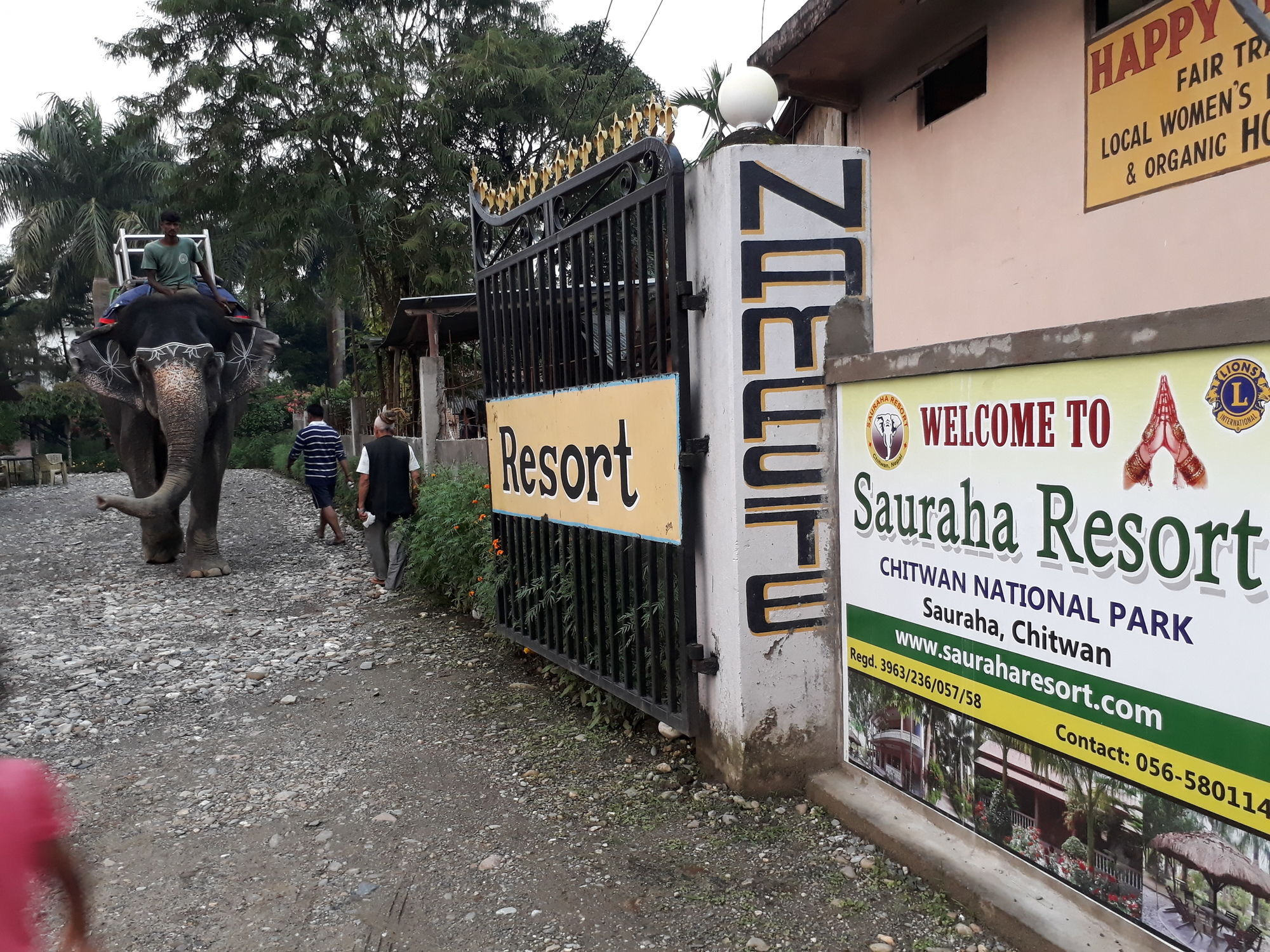 Ama Garden Sauraha Hotel Eksteriør billede