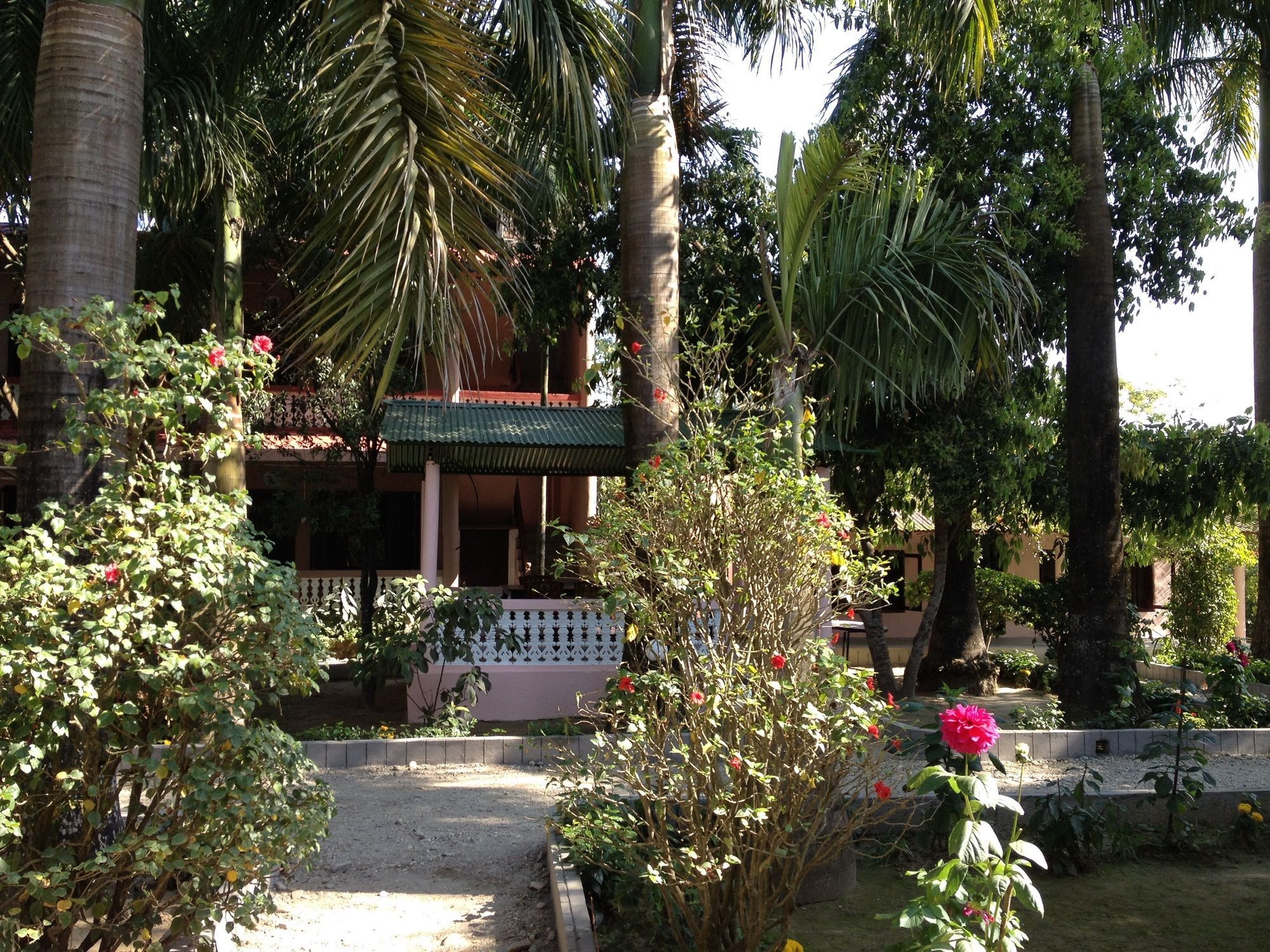 Ama Garden Sauraha Hotel Eksteriør billede