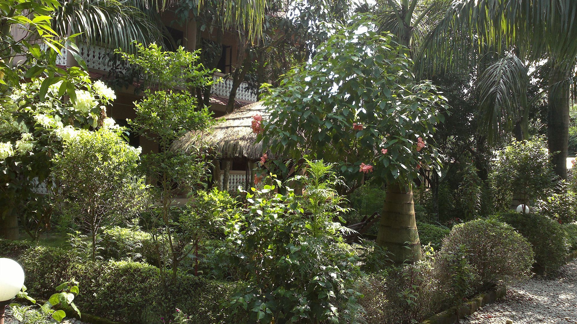 Ama Garden Sauraha Hotel Eksteriør billede