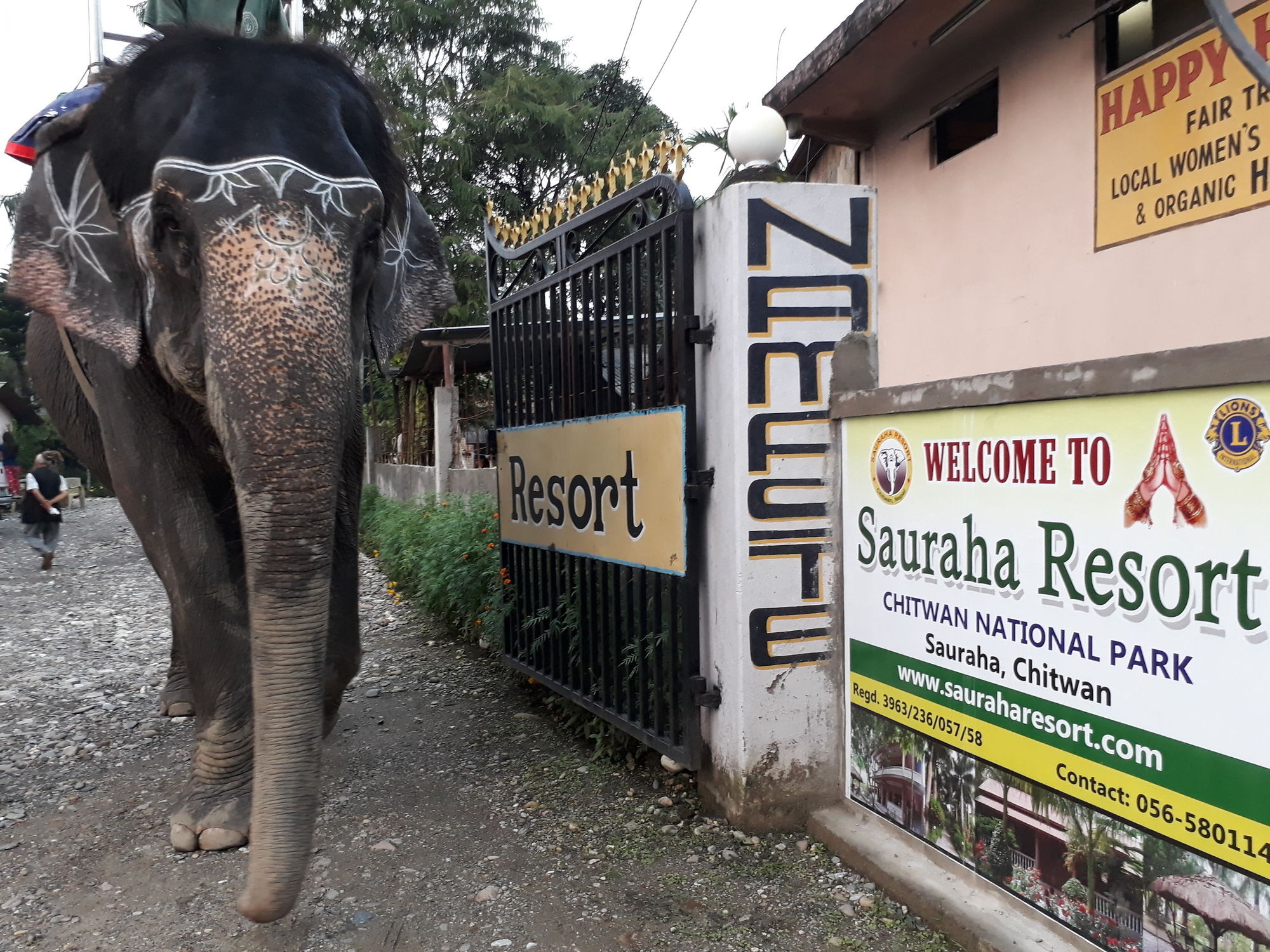 Ama Garden Sauraha Hotel Eksteriør billede