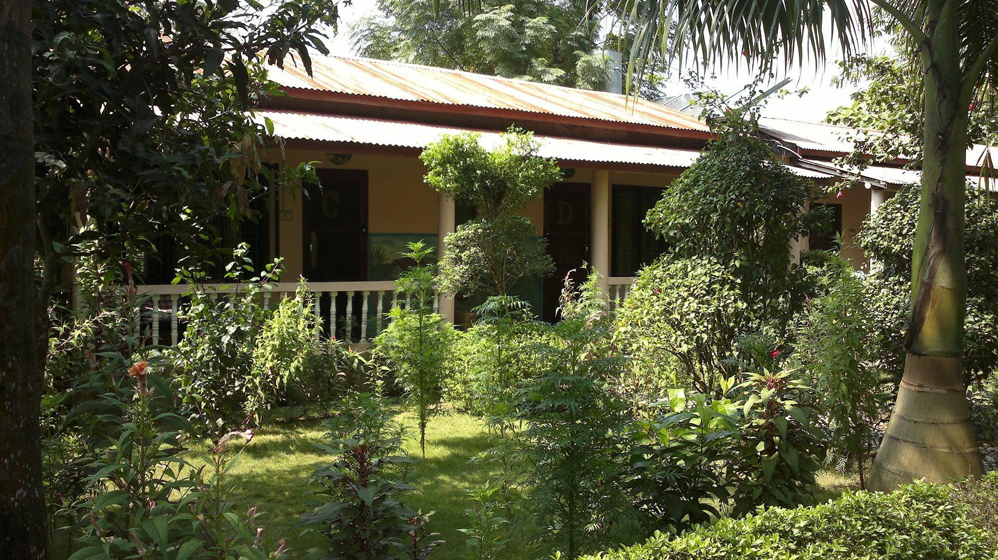Ama Garden Sauraha Hotel Eksteriør billede